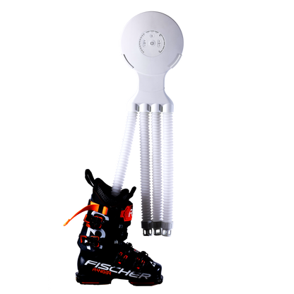 Octopus Blanc